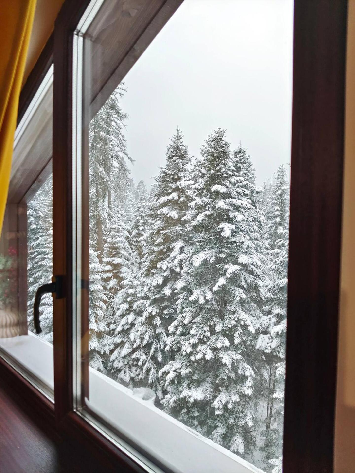 Borovets Dream Studio Exteriör bild